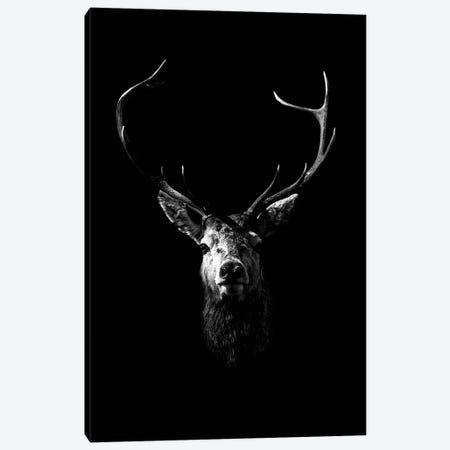 Dark Deer Canvas Print #WRI11} by Wouter Rikken Art Print