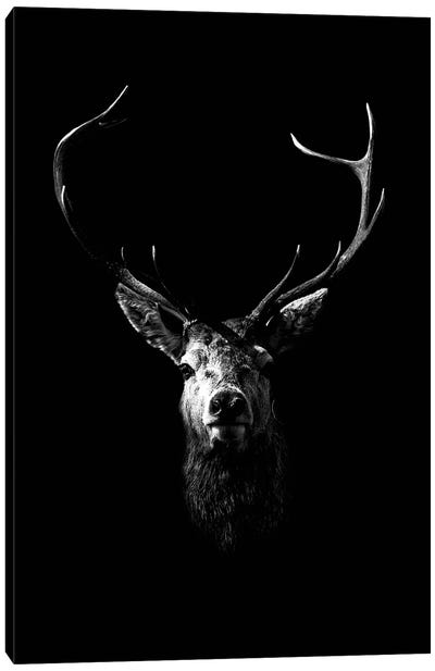 Dark Deer Canvas Art Print - Wouter Rikken