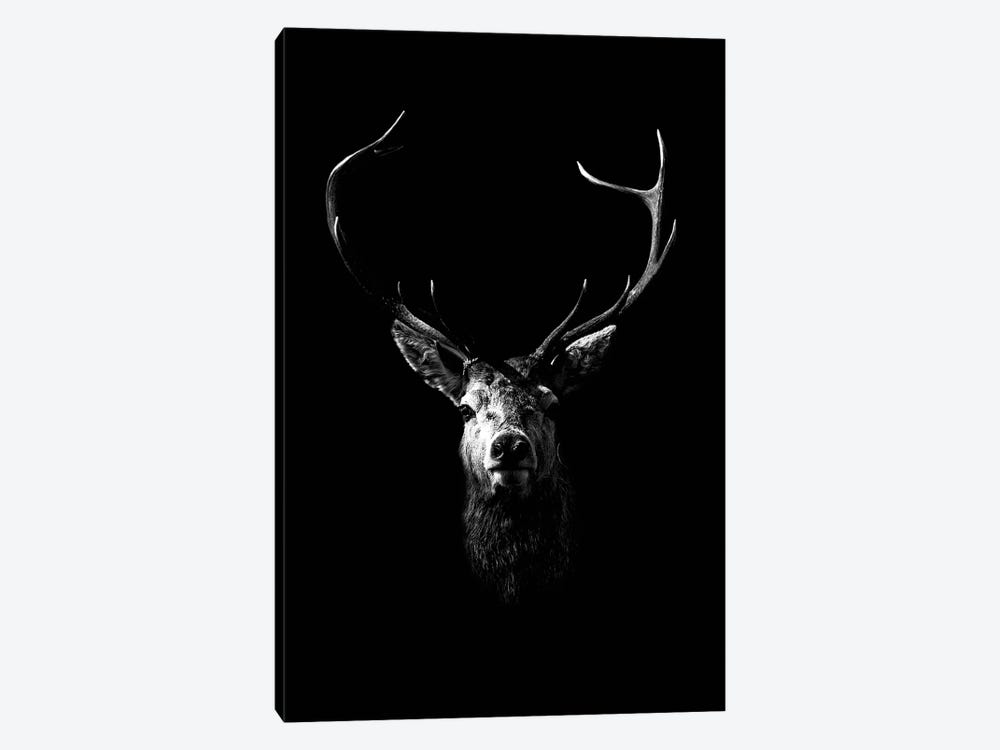 Dark Deer by Wouter Rikken 1-piece Canvas Art