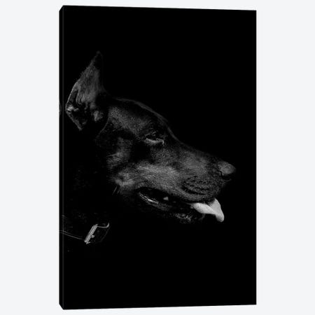 Dark Dobermann Canvas Print #WRI12} by Wouter Rikken Canvas Print