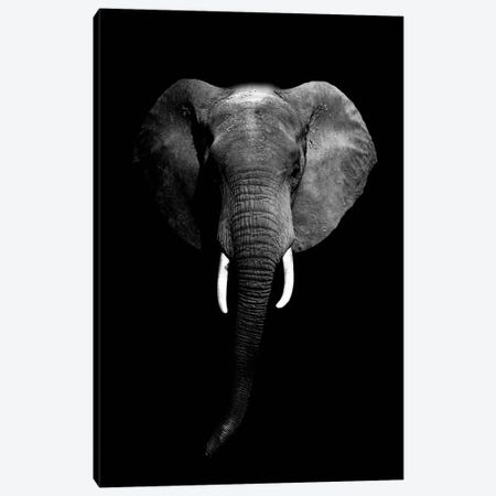 Dark Elephant I Canvas Print #WRI15} by Wouter Rikken Canvas Artwork