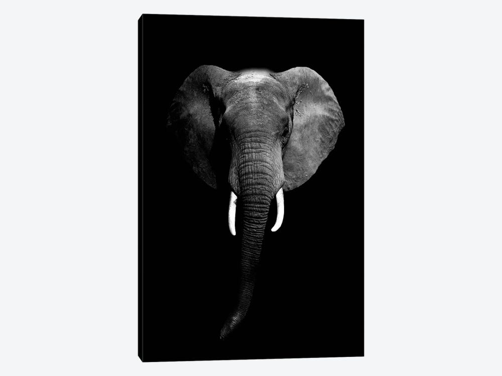 Dark Elephant I by Wouter Rikken 1-piece Canvas Art