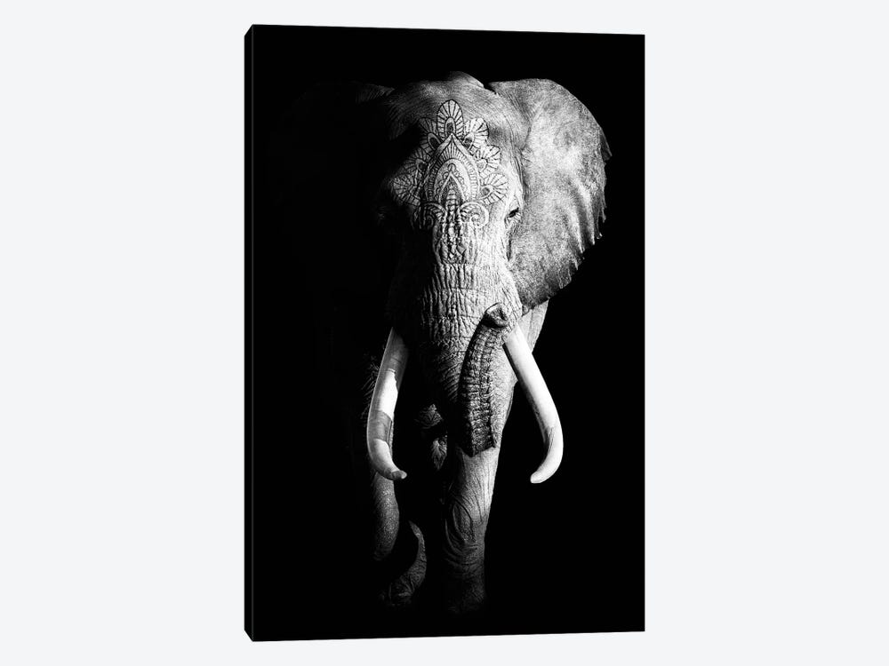 Dark Elephant III by Wouter Rikken 1-piece Canvas Print