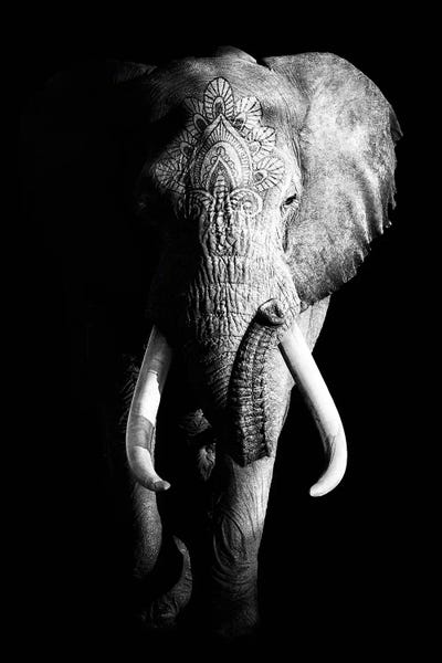 Wouter Rikken: Dark Elephant III by Wouter Rikken