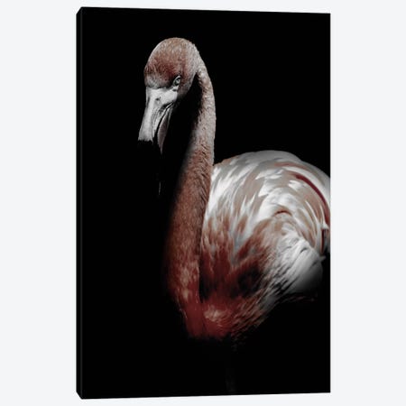 Dark Flamingo Canvas Print #WRI18} by Wouter Rikken Canvas Art Print