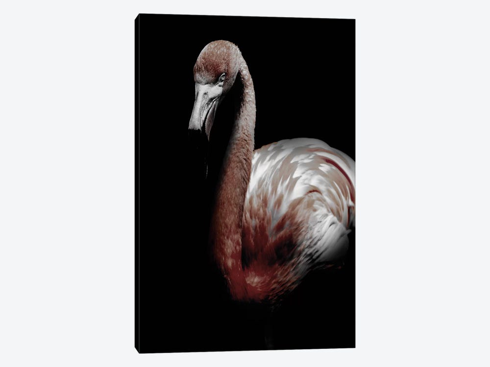 Dark Flamingo by Wouter Rikken 1-piece Canvas Print