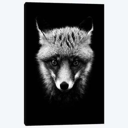 Dark Fox Canvas Print #WRI19} by Wouter Rikken Canvas Print