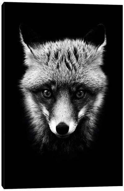 Dark Fox Canvas Art Print - Wouter Rikken