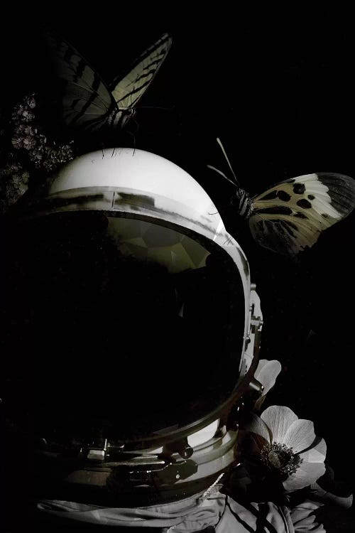 Astronaut