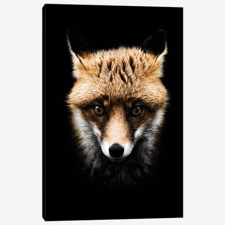 Dark Fox, Color Canvas Print #WRI20} by Wouter Rikken Canvas Artwork