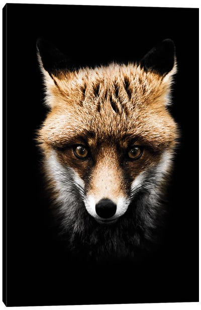 Dark Fox, Color Canvas Art Print - Wouter Rikken