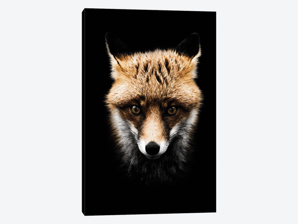 Dark Fox, Color by Wouter Rikken 1-piece Canvas Artwork