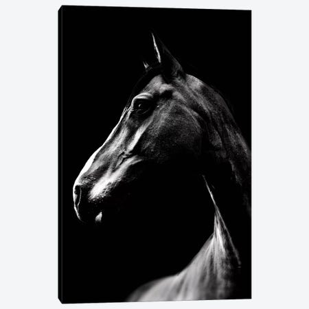 Dark Horse Canvas Print #WRI25} by Wouter Rikken Art Print