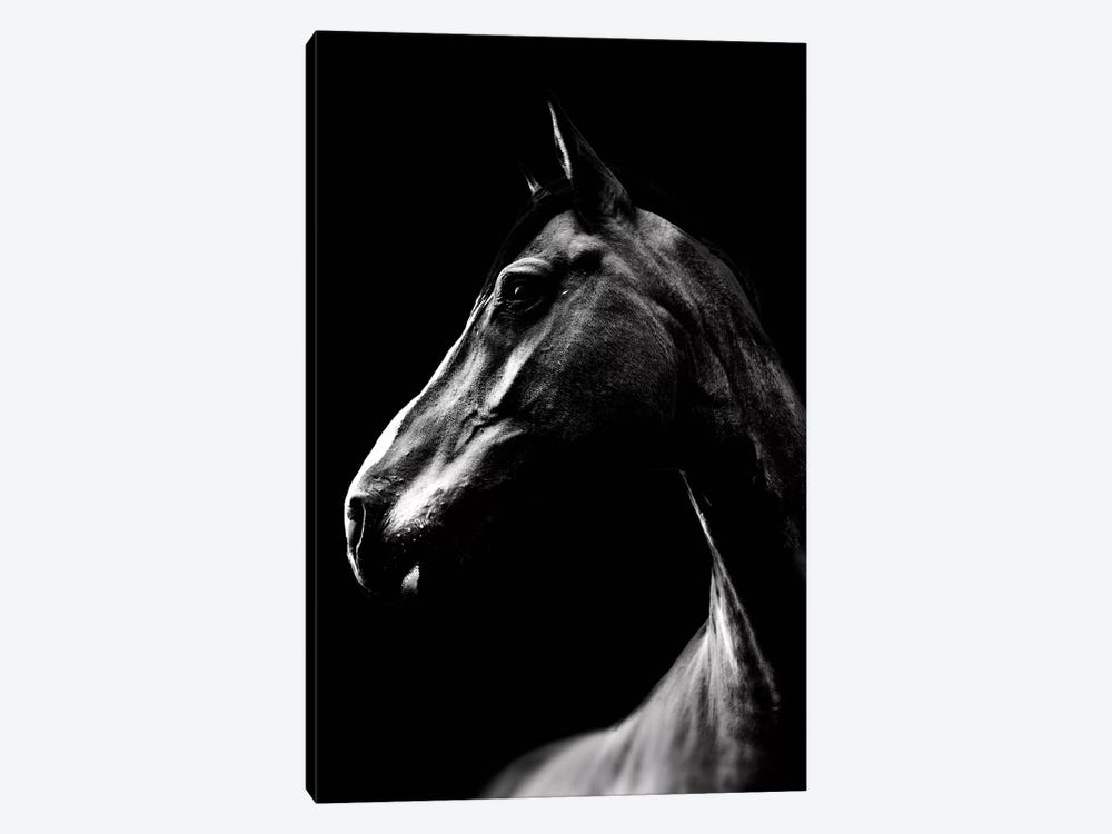 Dark Horse by Wouter Rikken 1-piece Art Print