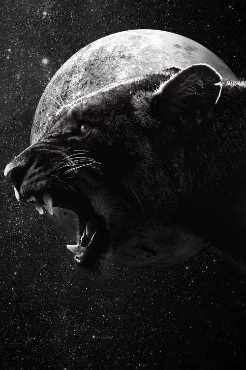 Dark Lioness
