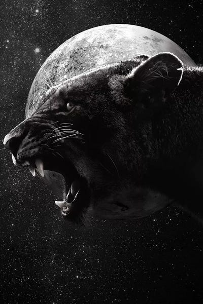 Wouter Rikken: Dark Lioness by Wouter Rikken