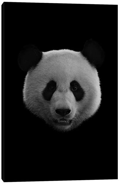 Dark Panda Canvas Art Print - Panda Art