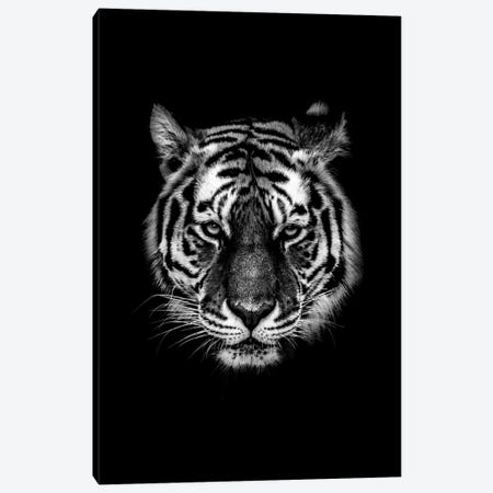 Dark Tiger I Canvas Print #WRI38} by Wouter Rikken Art Print