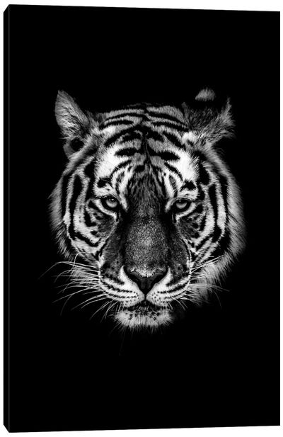 Dark Tiger I Canvas Art Print - Wouter Rikken