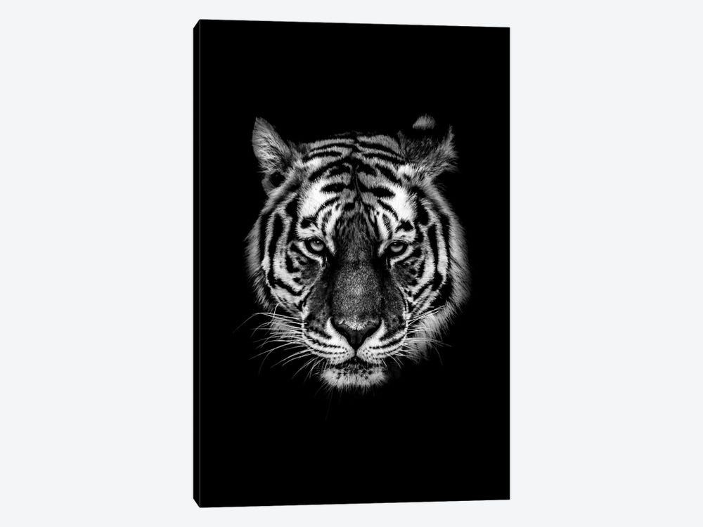 Dark Tiger I by Wouter Rikken 1-piece Canvas Art Print