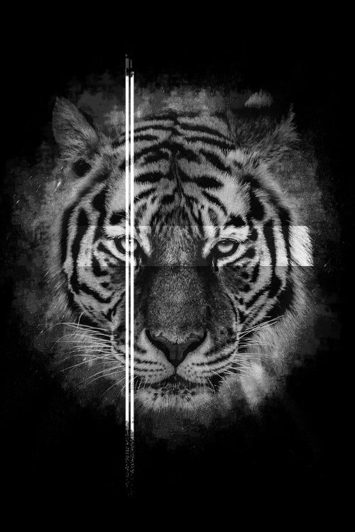 Dark Tiger II