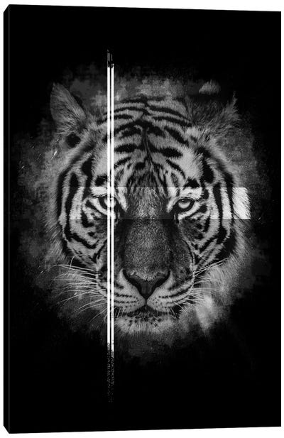 Dark Tiger II Canvas Art Print - Wouter Rikken