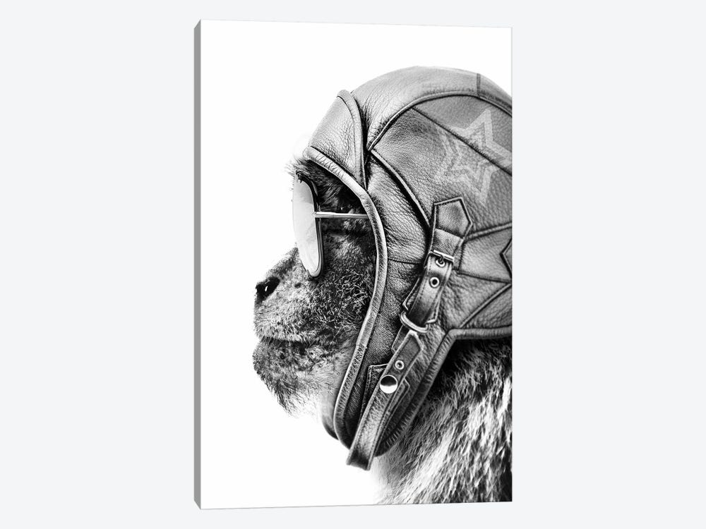Aviator Monkey by Wouter Rikken 1-piece Art Print