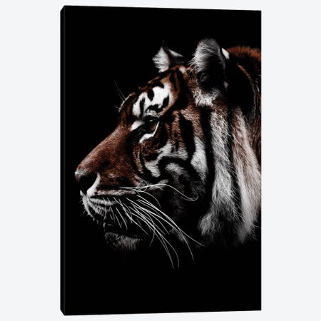 Dark Tiger, Color Canvas Print #WRI40} by Wouter Rikken Canvas Wall Art