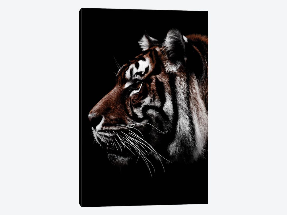 Dark Tiger, Color by Wouter Rikken 1-piece Canvas Art