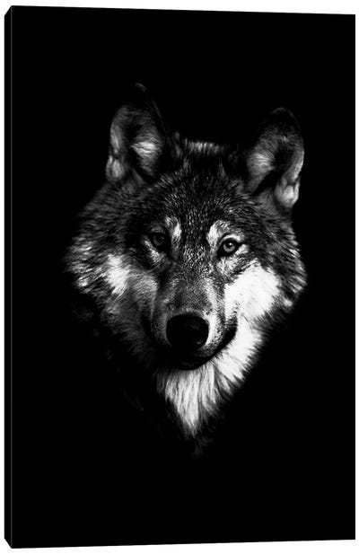 Dark Wolf I Canvas Art Print - Wolf Art