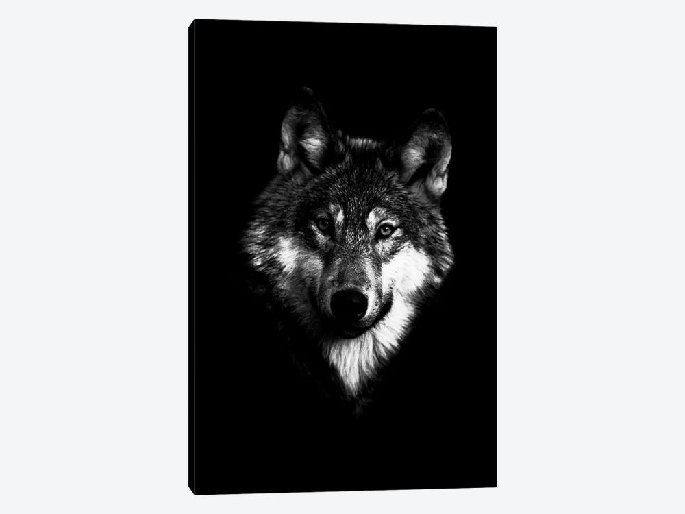 Dark Wolf I by Wouter Rikken 1-piece Canvas Art Print