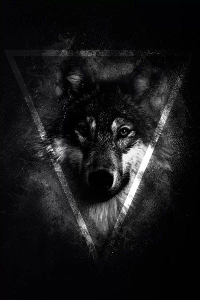 Dark Wolf II by Wouter Rikken framed canvas print