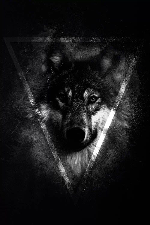 Dark Wolf II