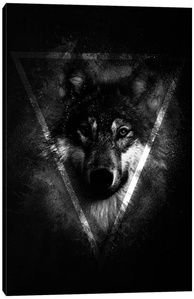 Dark Wolf II Canvas Art Print - Wolf Art