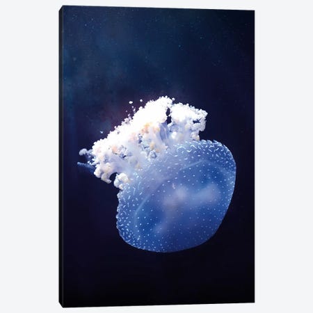 Deep Sea Jellyfish Canvas Print #WRI44} by Wouter Rikken Canvas Art Print
