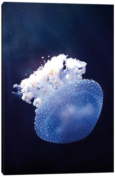 Deep Sea Jellyfish Canvas Art Print - Wouter Rikken