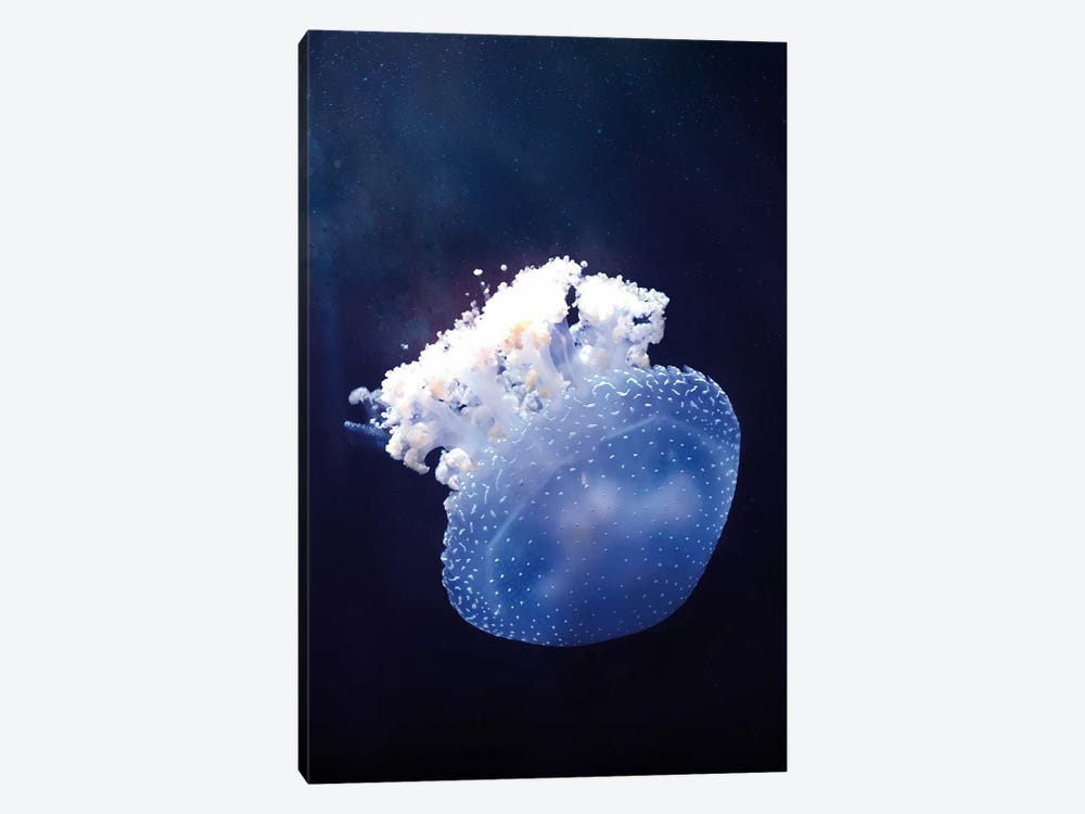 Deep Sea Jellyfish by Wouter Rikken 1-piece Canvas Art