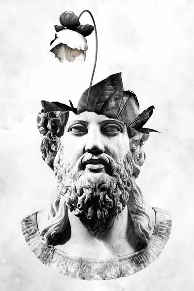 Botanical Zeus by Wouter Rikken framed canvas print