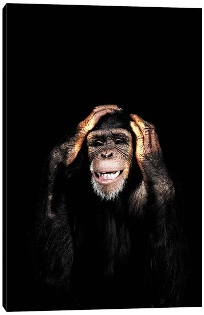 Hear No Evil Canvas Art Print - Chimpanzee Art