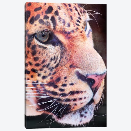 Leopard, Close-Up Canvas Print #WRI54} by Wouter Rikken Canvas Artwork