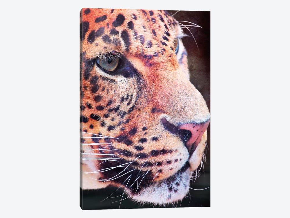 Leopard, Close-Up by Wouter Rikken 1-piece Art Print
