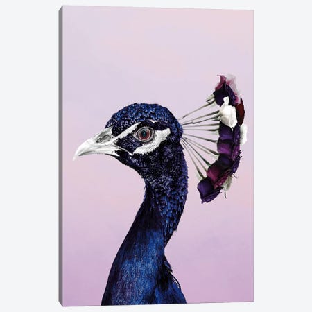 Purplish Peacock Canvas Print #WRI59} by Wouter Rikken Canvas Print