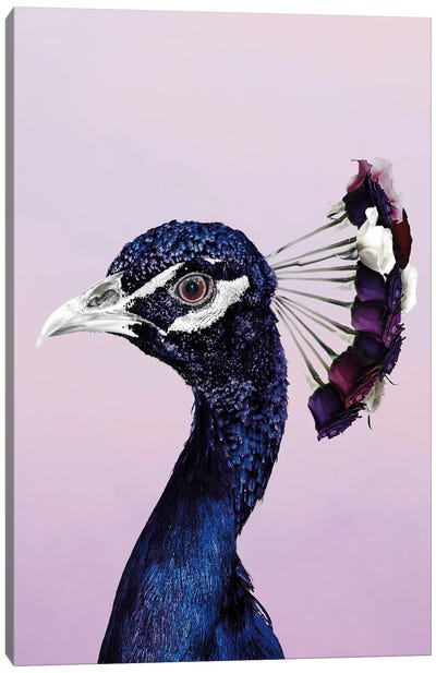 Purplish Peacock Canvas Art Print - Wouter Rikken
