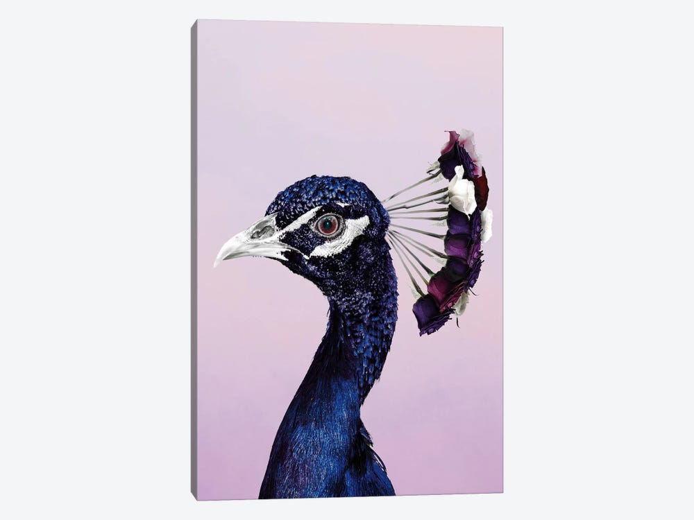 Purplish Peacock by Wouter Rikken 1-piece Canvas Art