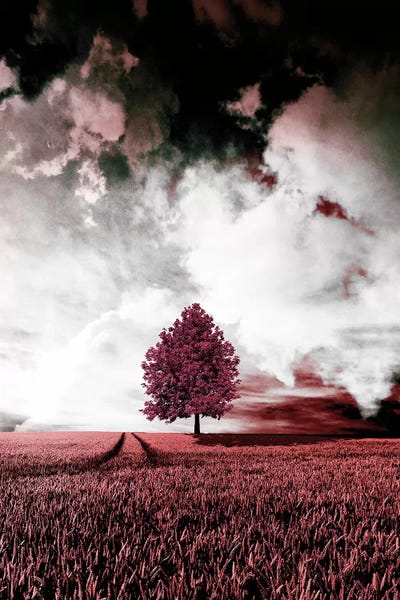 Wouter Rikken: Red Autumn by Wouter Rikken