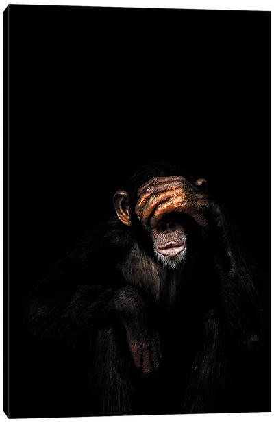 See No Evil Canvas Art Print - Chimpanzees