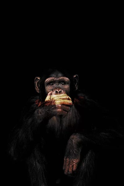 Speak No Evil by Wouter Rikken art print