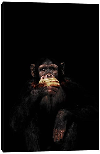 Speak No Evil Canvas Art Print - Chimpanzees