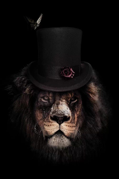 Classy Lion