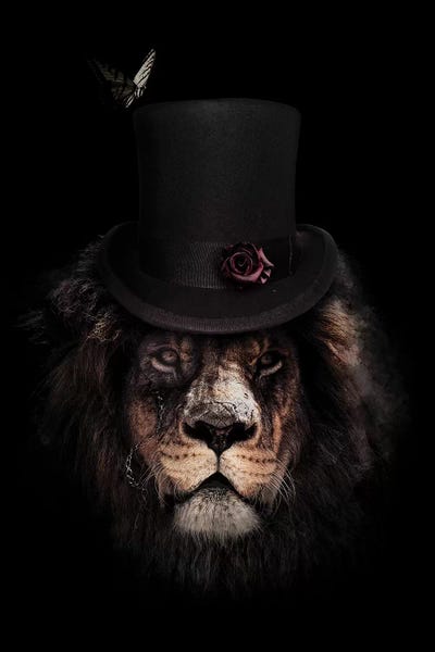 Lions: Classy Lion by Wouter Rikken